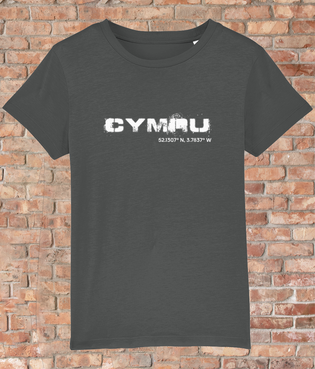 Custom T-Shirt for Kids - GPS Coordinates - Cymru