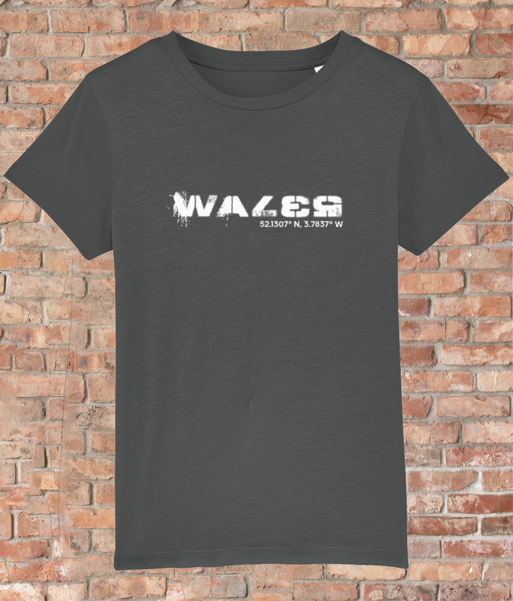 Custom T-Shirt for Kids - GPS Coordinates - Wales
