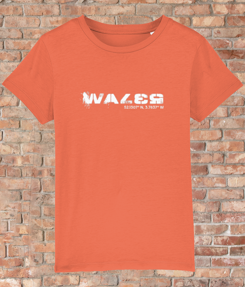 Custom T-Shirt for Kids - GPS Coordinates - Wales