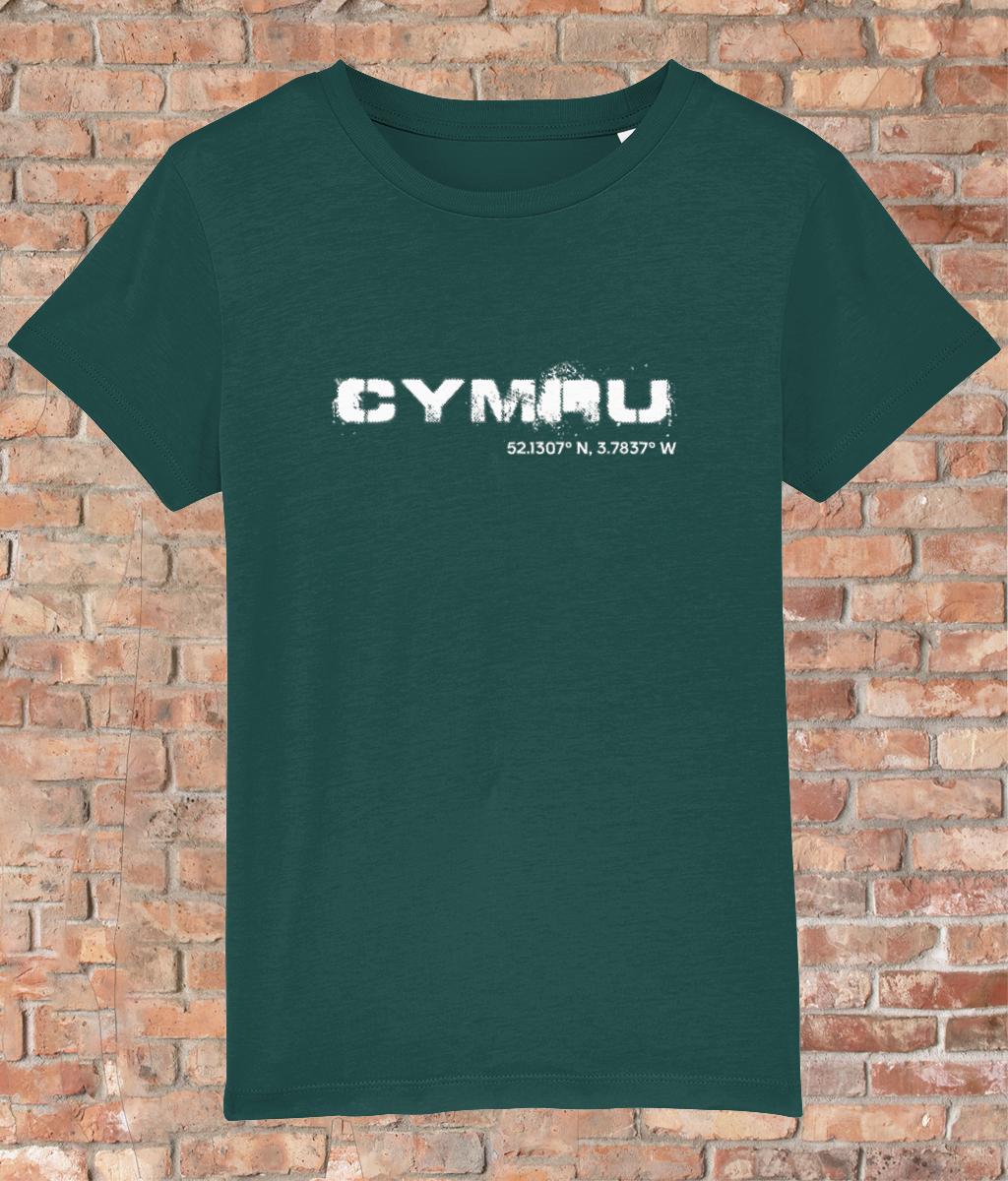 Custom T-Shirt for Kids - GPS Coordinates - Cymru
