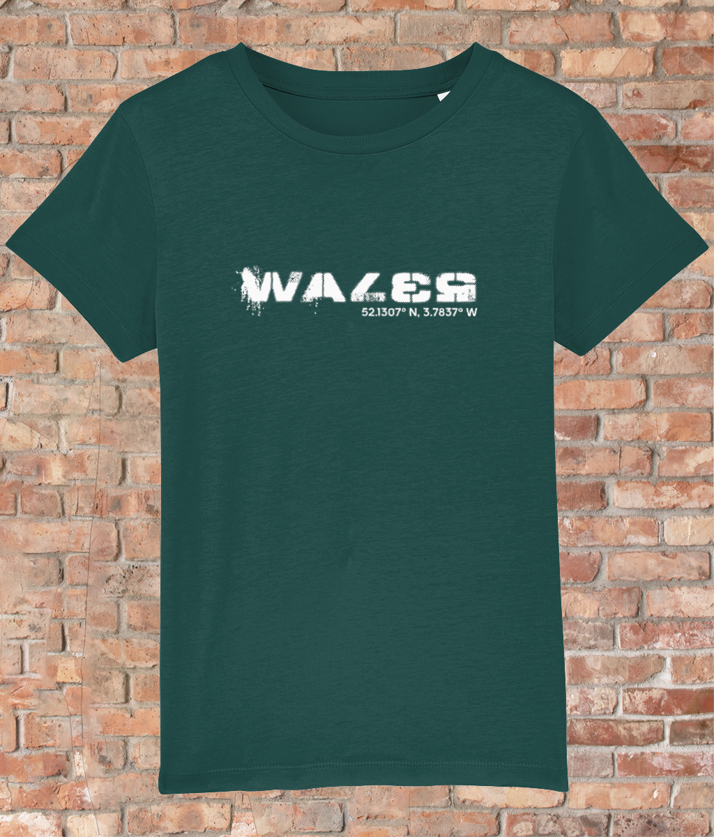Custom T-Shirt for Kids - GPS Coordinates - Wales