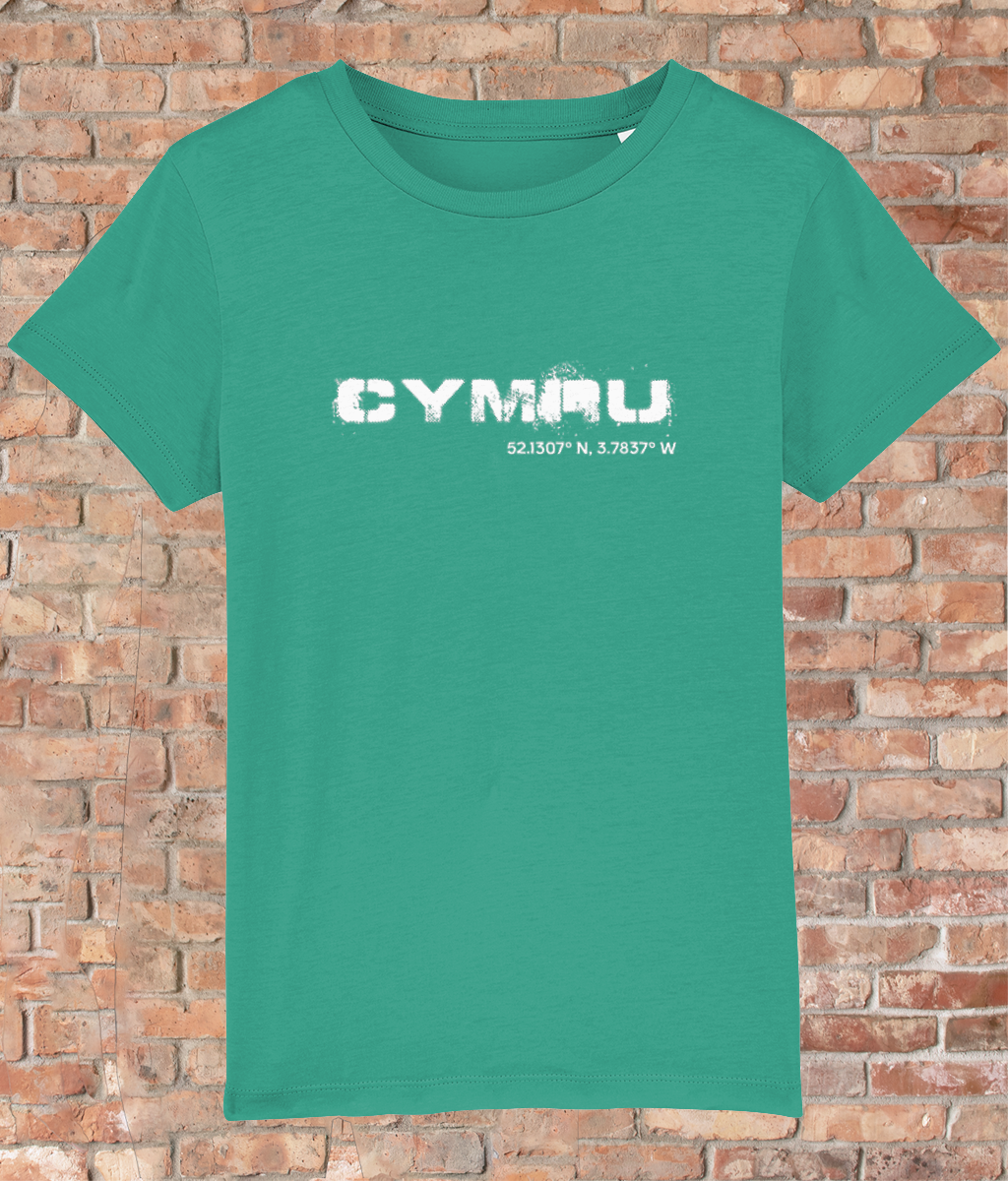 Custom T-Shirt for Kids - GPS Coordinates - Cymru