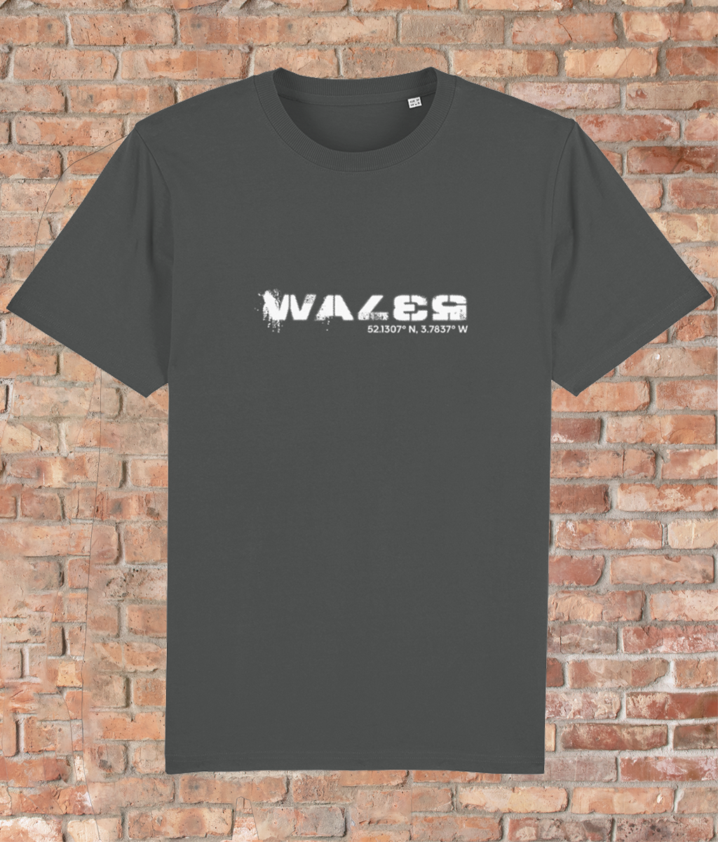 Custom T-Shirt Adult - GPS Coordinates - Wales