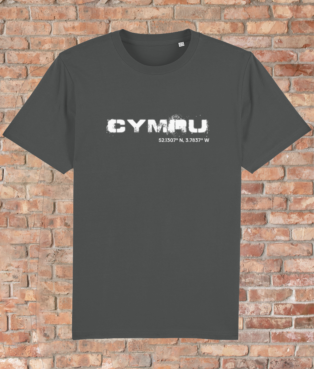 Custom T-Shirt Adult - GPS Coordinates - Cymru