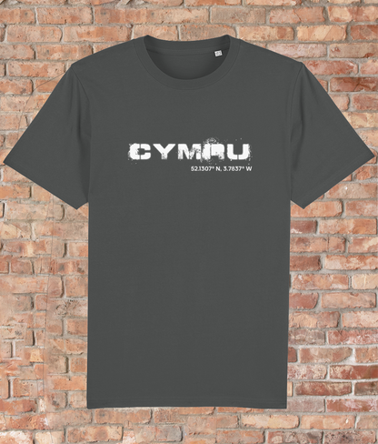 Custom T-Shirt Adult - GPS Coordinates - Cymru