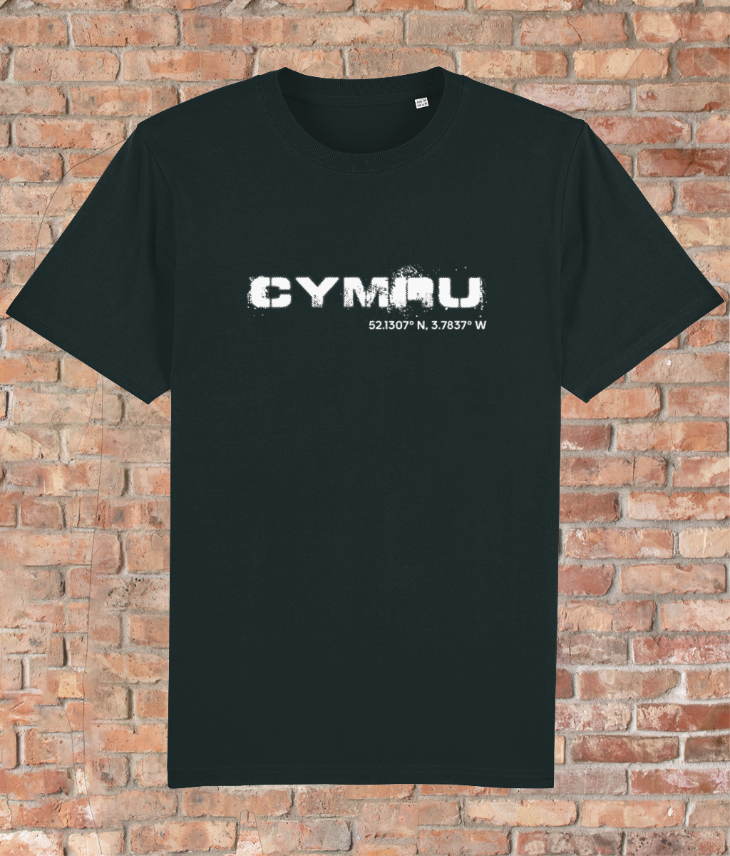 Custom T-Shirt Adult - GPS Coordinates - Cymru