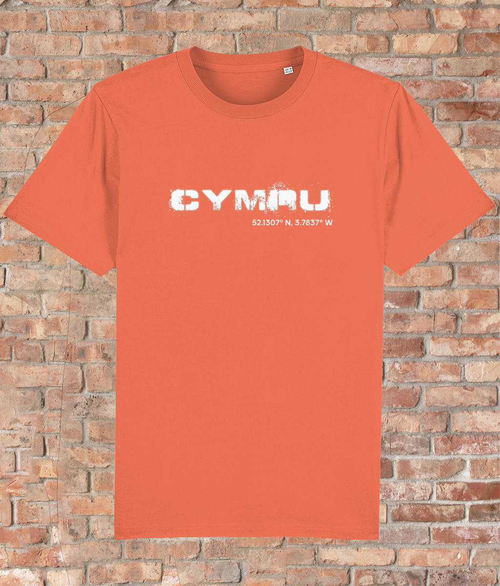 Custom T-Shirt Adult - GPS Coordinates - Cymru