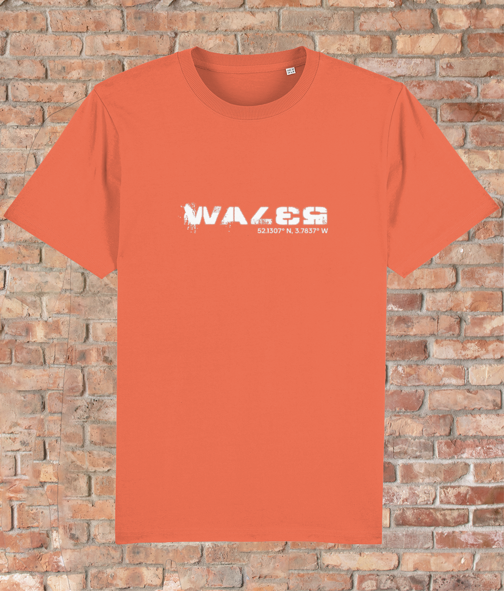 Custom T-Shirt Adult - GPS Coordinates - Wales