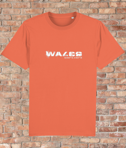 Custom T-Shirt Adult - GPS Coordinates - Wales