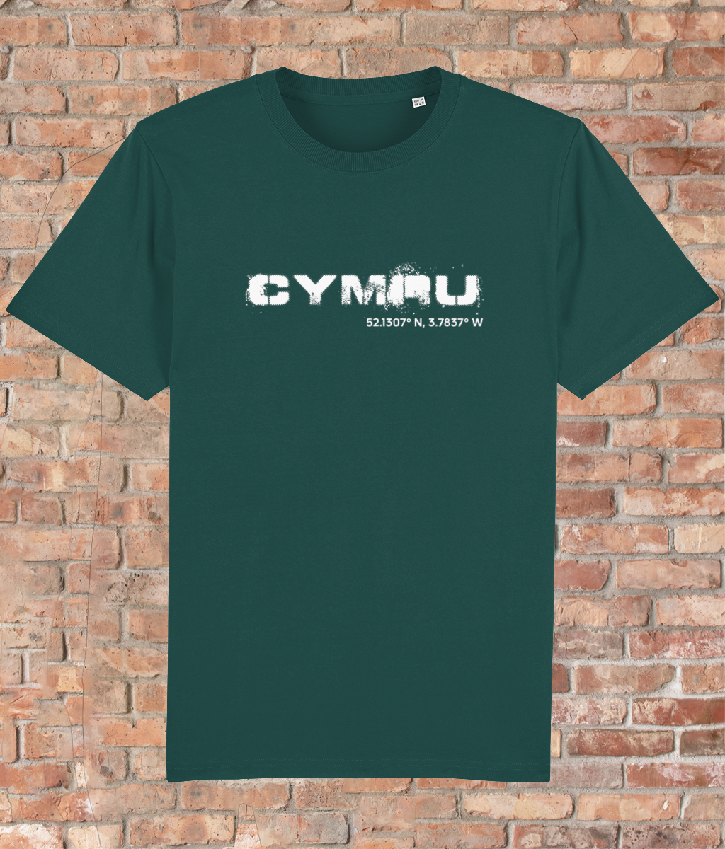 Custom T-Shirt Adult - GPS Coordinates - Cymru