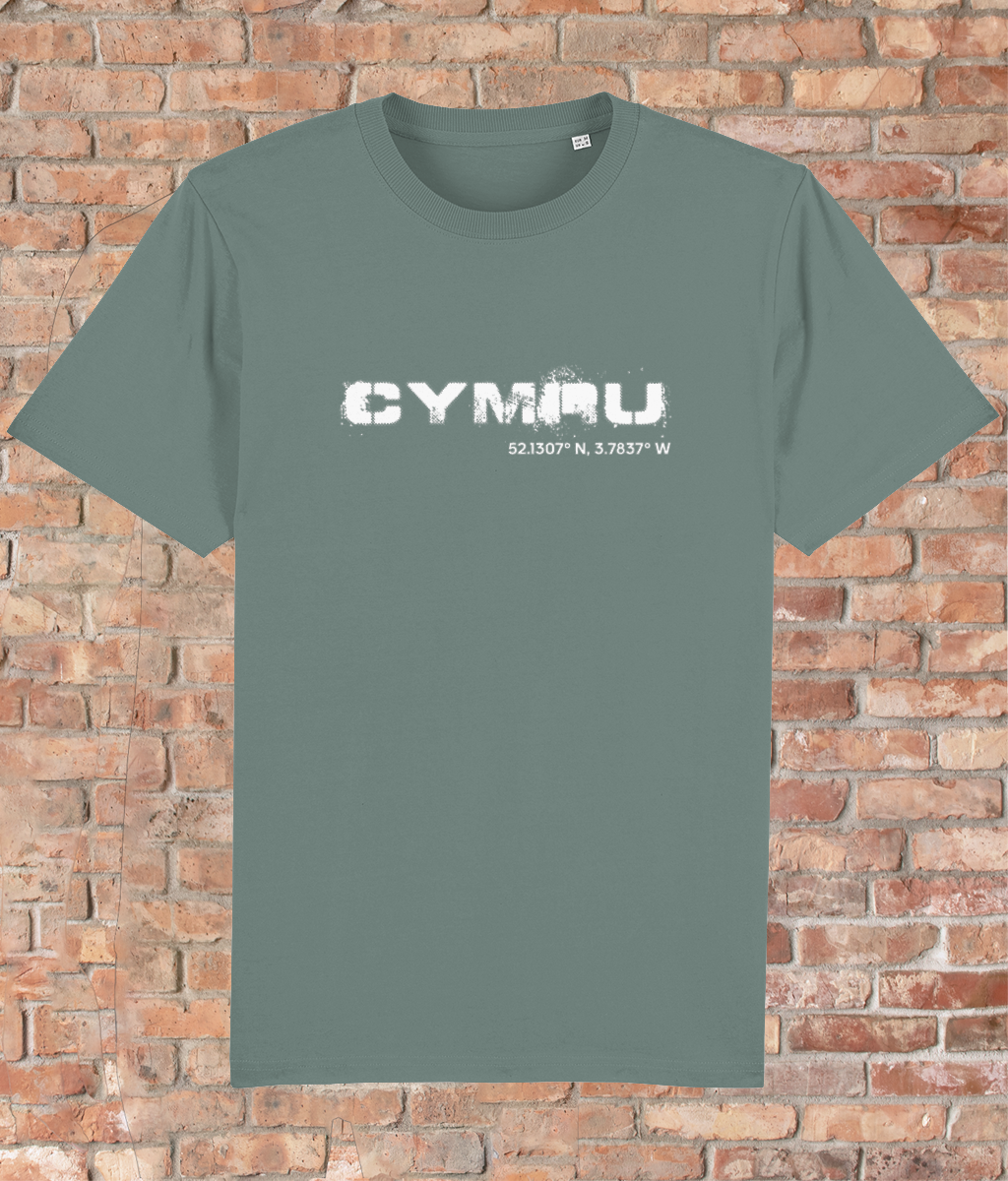 Custom T-Shirt Adult - GPS Coordinates - Cymru