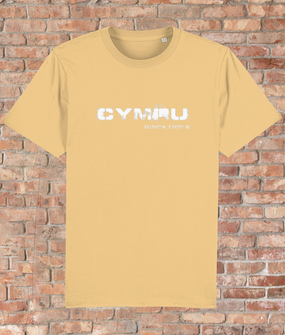 Custom T-Shirt Adult - GPS Coordinates - Cymru