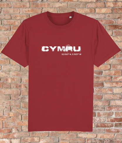 Custom T-Shirt Adult - GPS Coordinates - Cymru